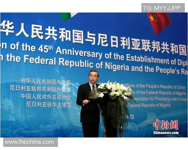 尼日利亚与中国的经济合作与文化交流新篇章探讨